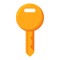 T4 Key icon